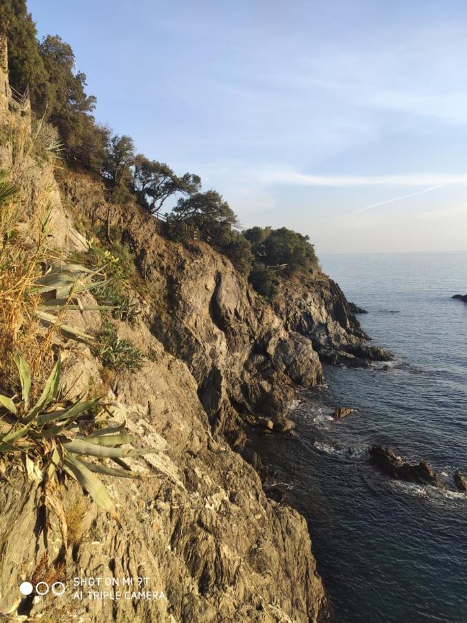 Via Verdi 5, Gli Affreschi มอนเตรอสโซ อัล มาเร ภายนอก รูปภาพ
