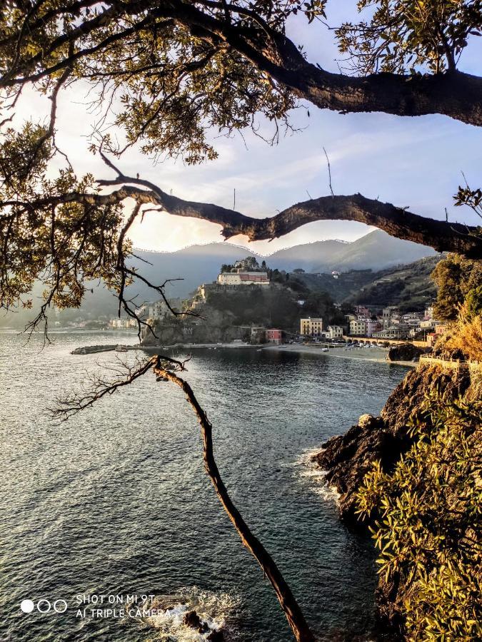 Via Verdi 5, Gli Affreschi มอนเตรอสโซ อัล มาเร ภายนอก รูปภาพ