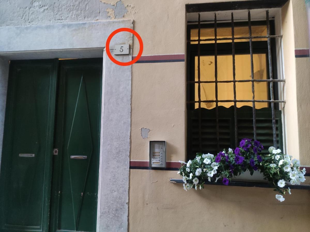 Via Verdi 5, Gli Affreschi มอนเตรอสโซ อัล มาเร ภายนอก รูปภาพ