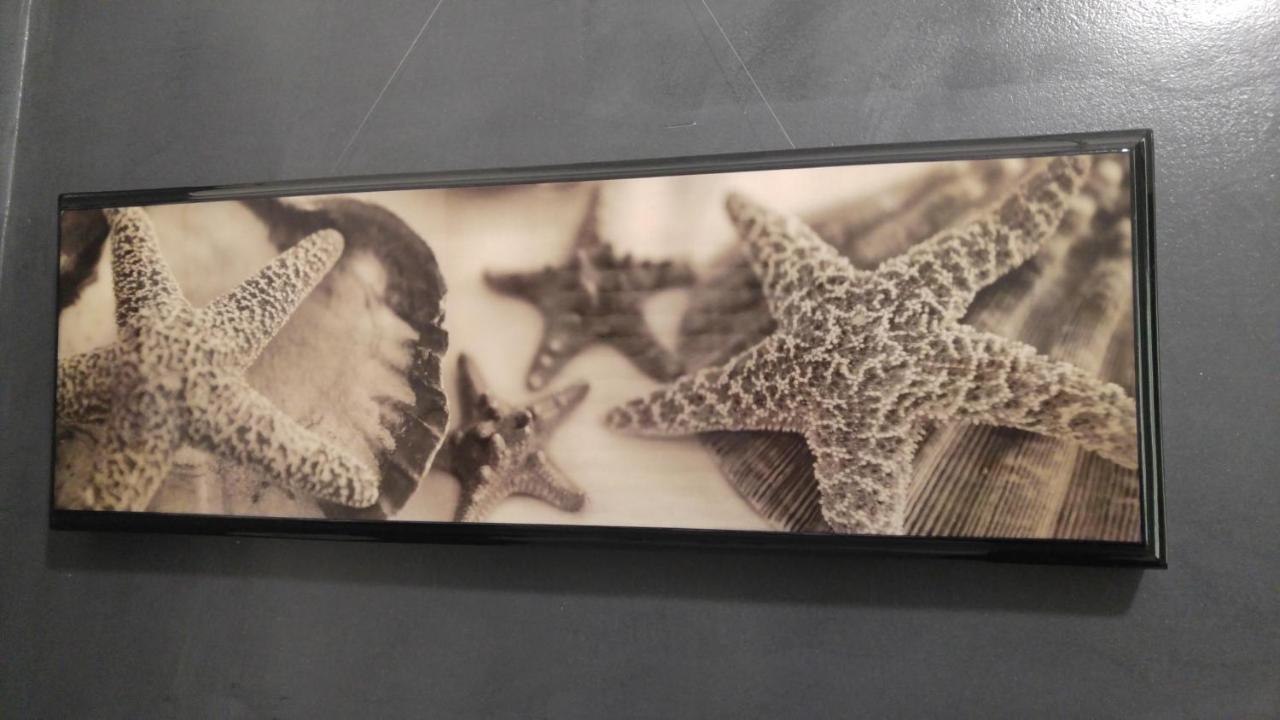 Via Verdi 5, Gli Affreschi มอนเตรอสโซ อัล มาเร ภายนอก รูปภาพ